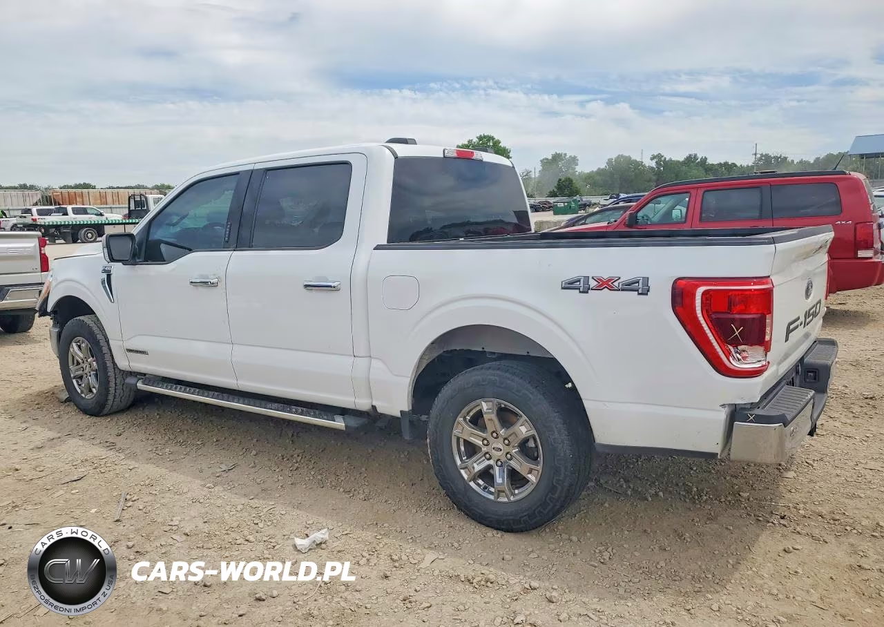 2023 Ford F150 Supercrew VIN:1FTFW1ED2PFB50614 - 2