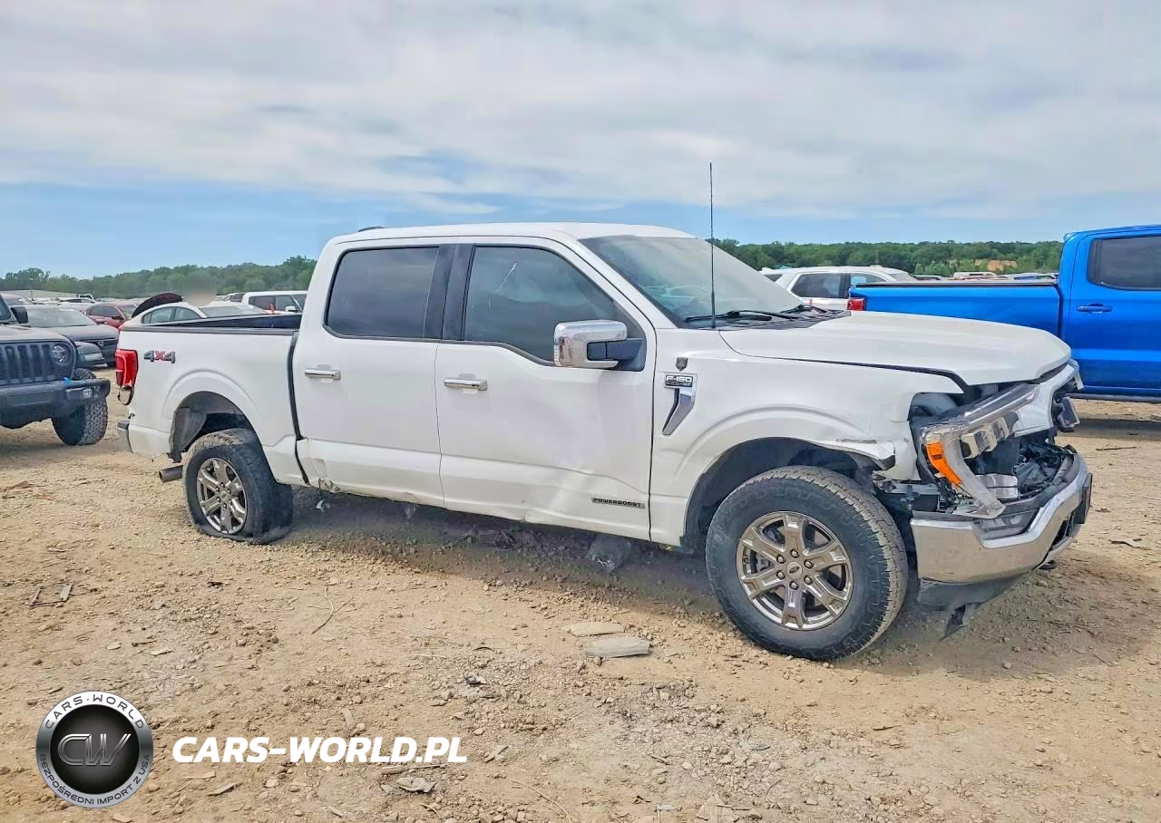 2023 Ford F150 Supercrew VIN:1FTFW1ED2PFB50614 - 4