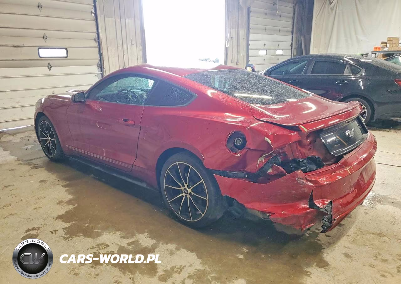 2017 Ford Mustang VIN:1FA6P8TH9H5265025 - 2
