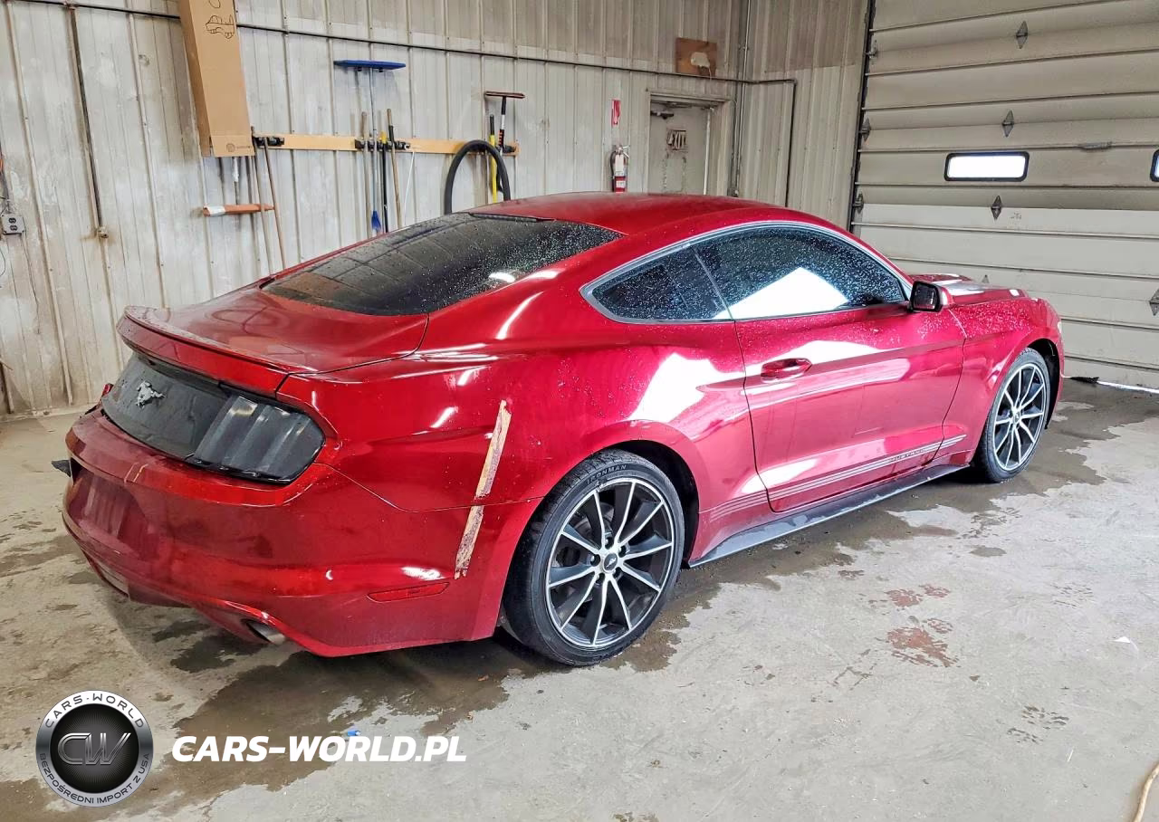 2017 Ford Mustang VIN:1FA6P8TH9H5265025 - 3
