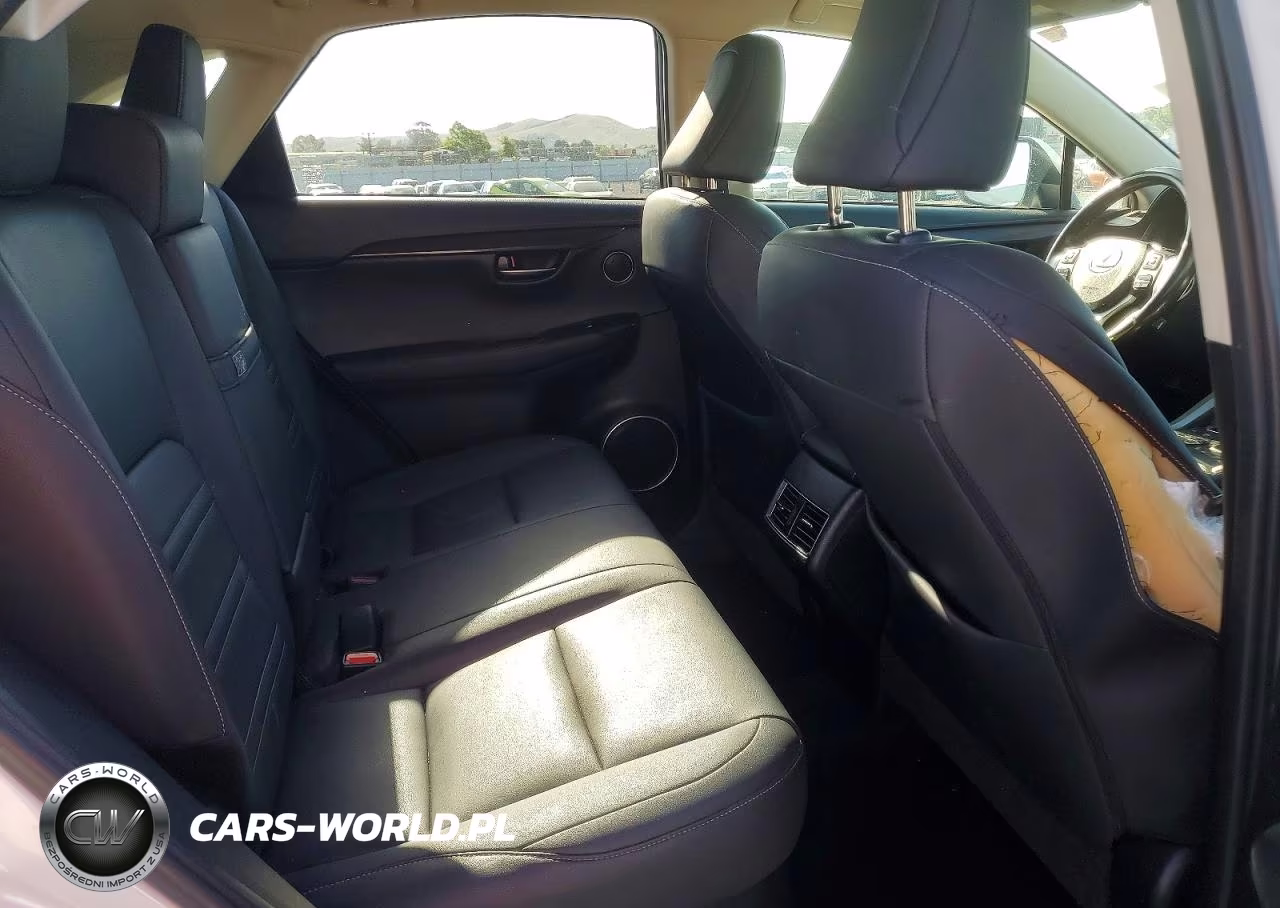 2020 Lexus Nx 300 Base VIN:JTJAARBZ1L5006394 - 11