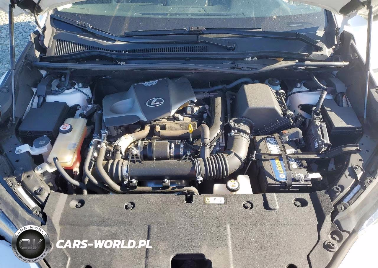 2020 Lexus Nx 300 Base VIN:JTJAARBZ1L5006394 - 12