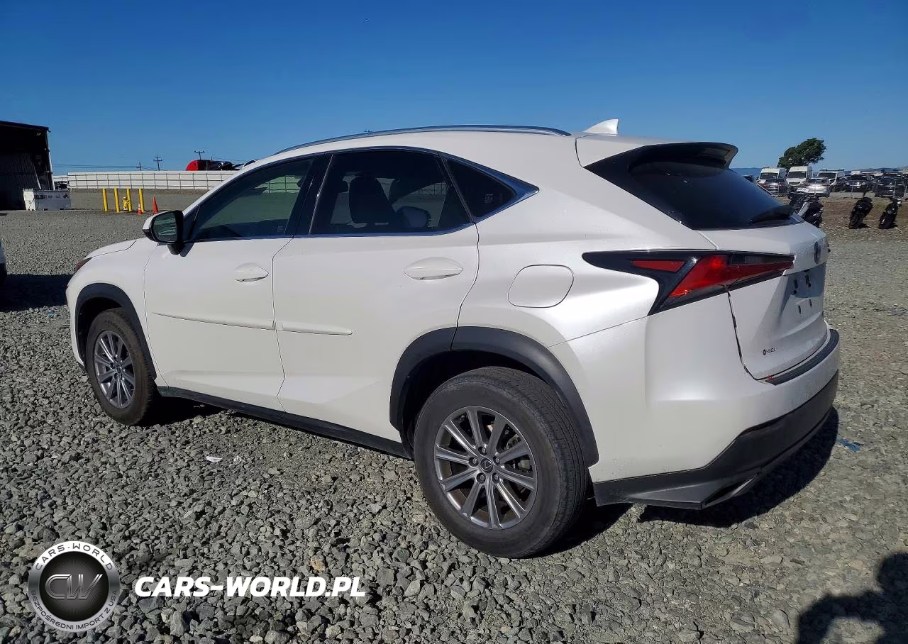 2020 Lexus Nx 300 Base VIN:JTJAARBZ1L5006394 - 2