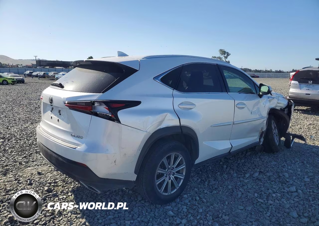2020 Lexus Nx 300 Base VIN:JTJAARBZ1L5006394 - 3