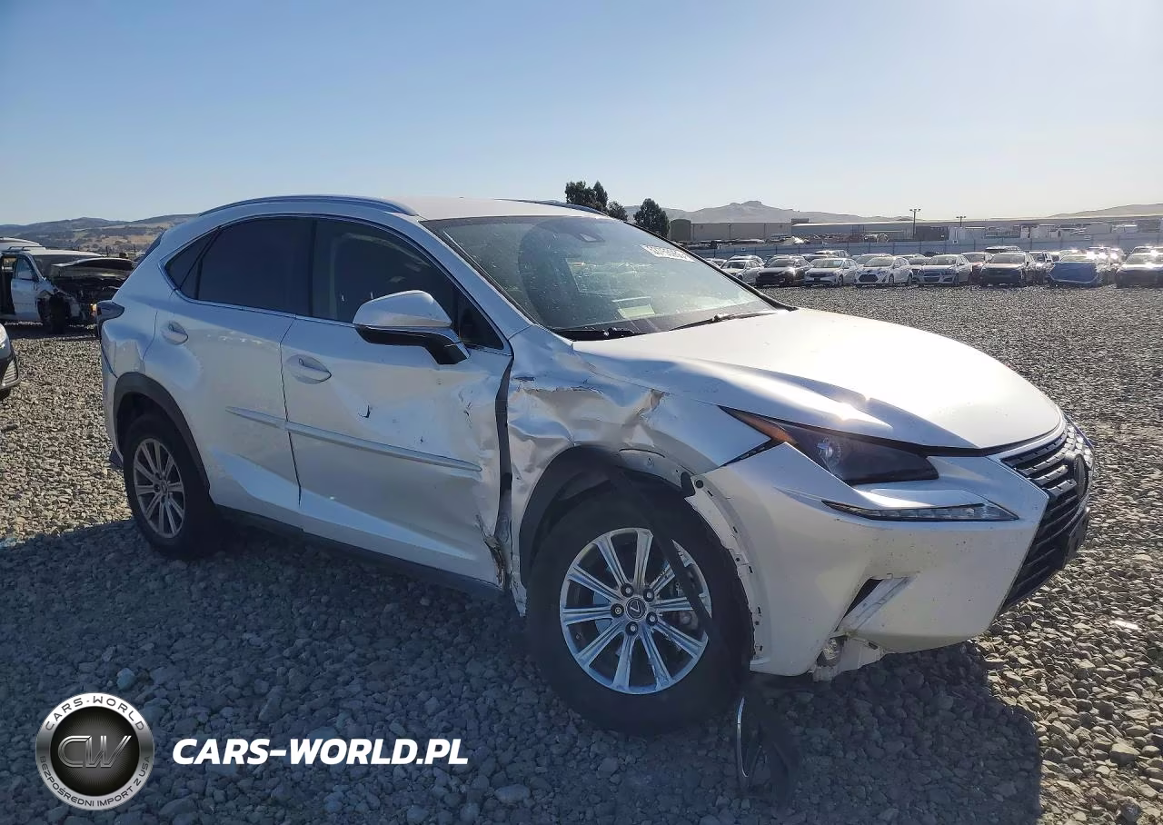 2020 Lexus Nx 300 Base VIN:JTJAARBZ1L5006394 - 4