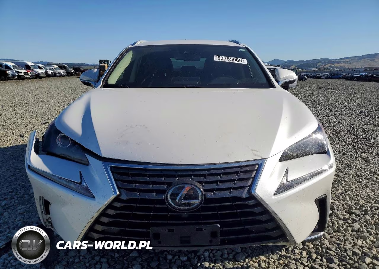 2020 Lexus Nx 300 Base VIN:JTJAARBZ1L5006394 - 5