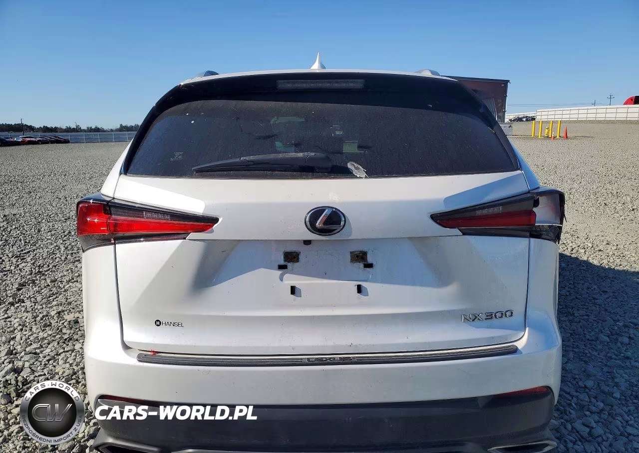 2020 Lexus Nx 300 Base VIN:JTJAARBZ1L5006394 - 6