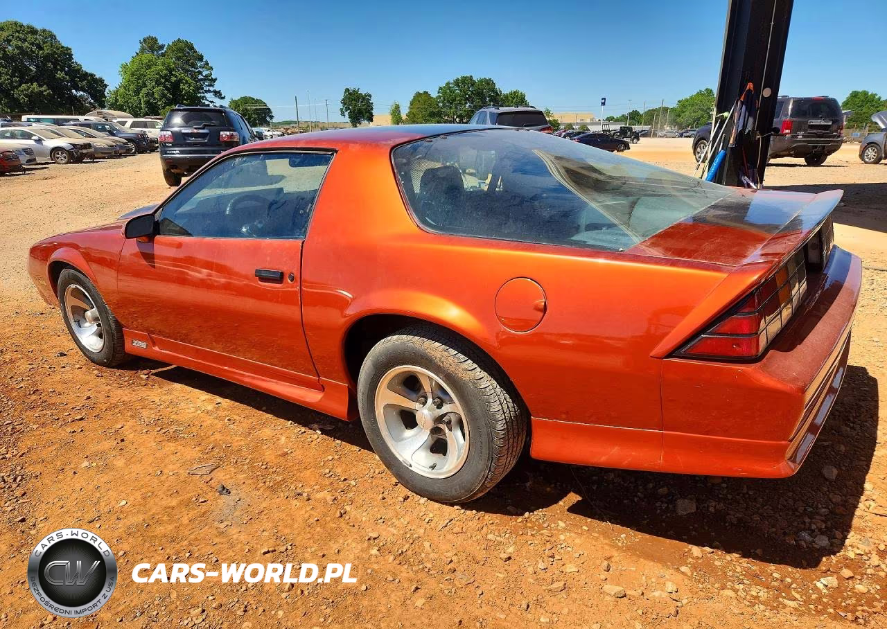 1991 Chevrolet Camaro Rs VIN:1G1FP23TXML100451 - 2