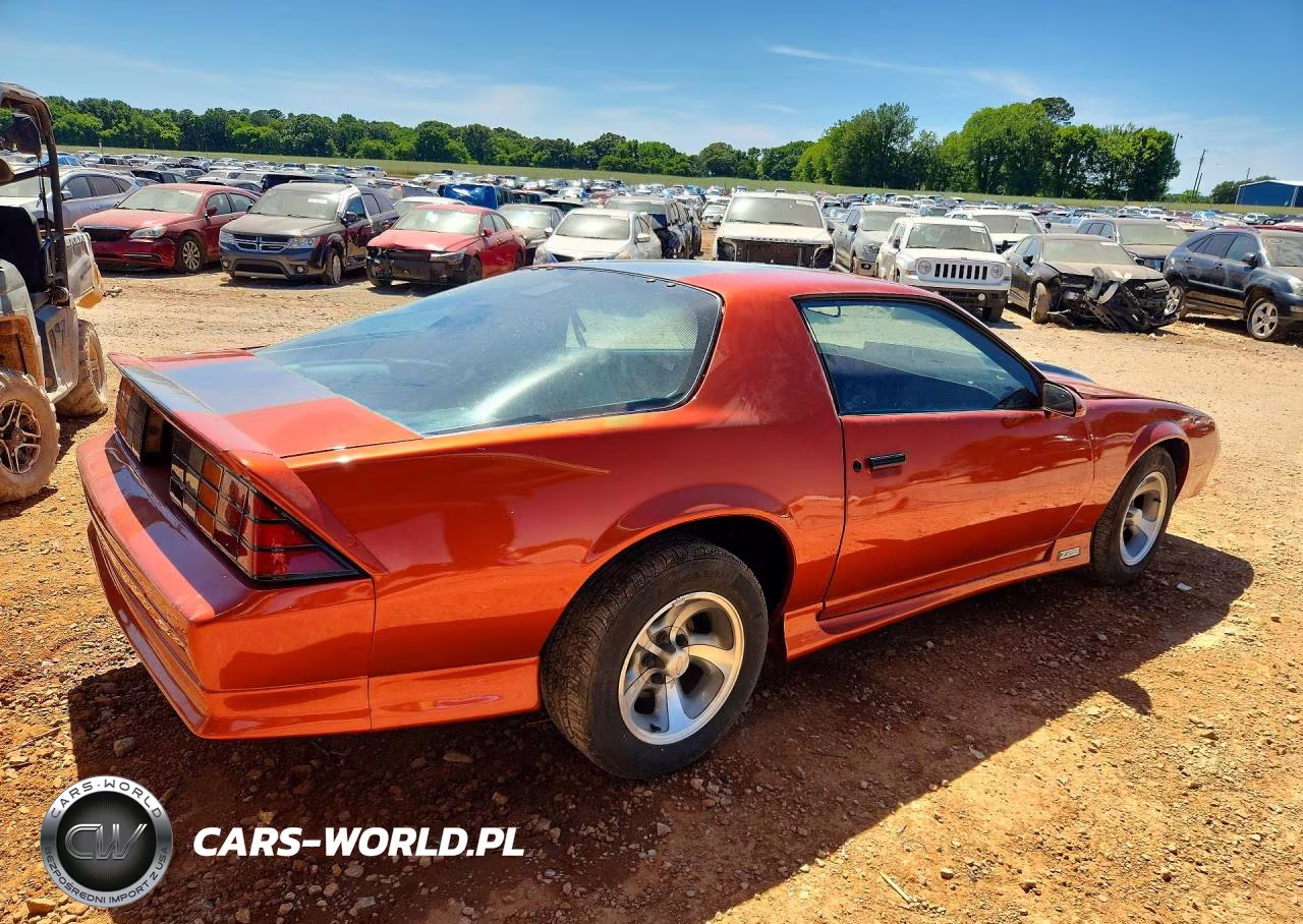1991 Chevrolet Camaro Rs VIN:1G1FP23TXML100451 - 3