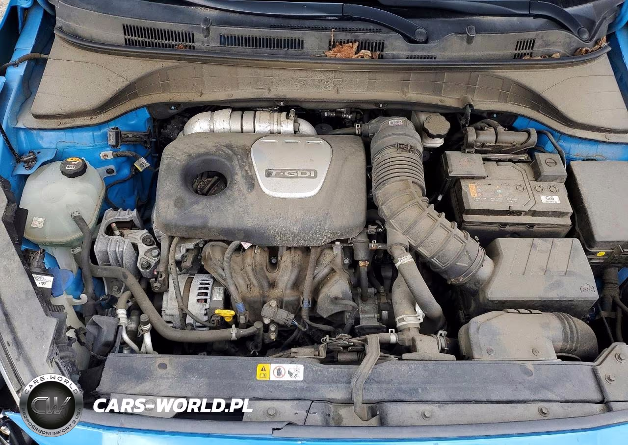 2019 Hyundai Kona Ultimate VIN:KM8K5CA56KU296803 - 11