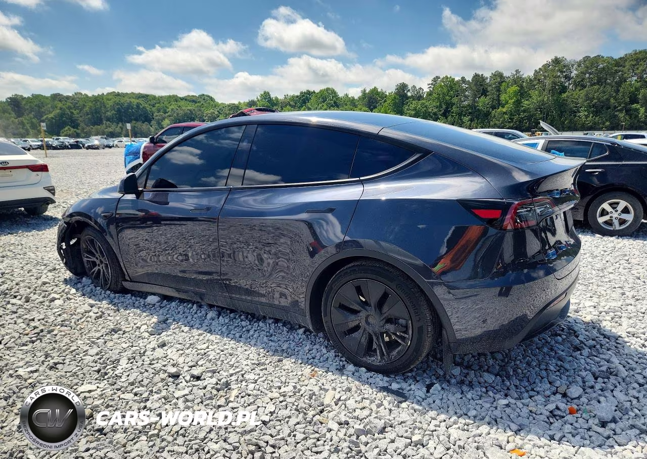 2025 Tesla Model Y VIN:7SAYGDEE0SF298910 - 2