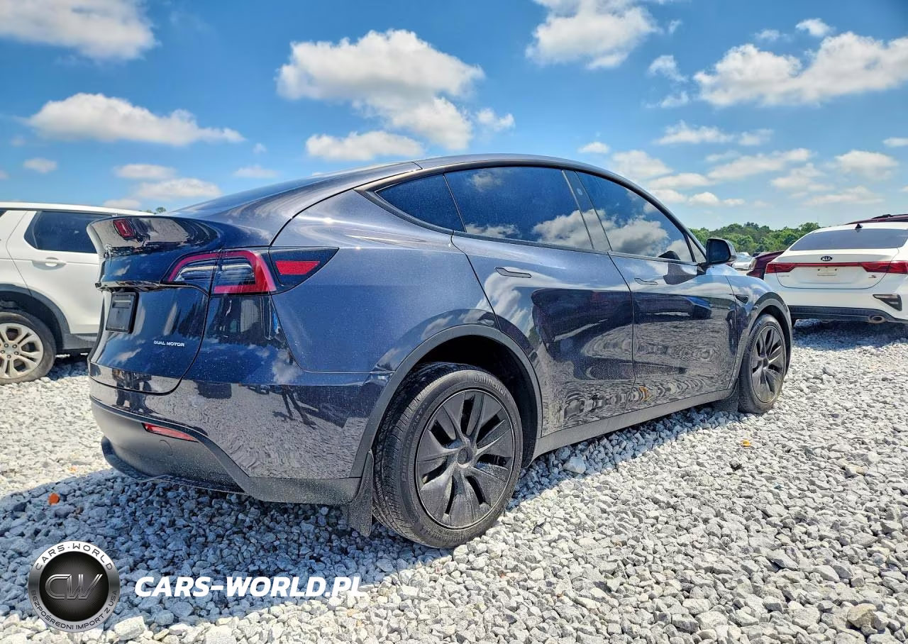 2025 Tesla Model Y VIN:7SAYGDEE0SF298910 - 3