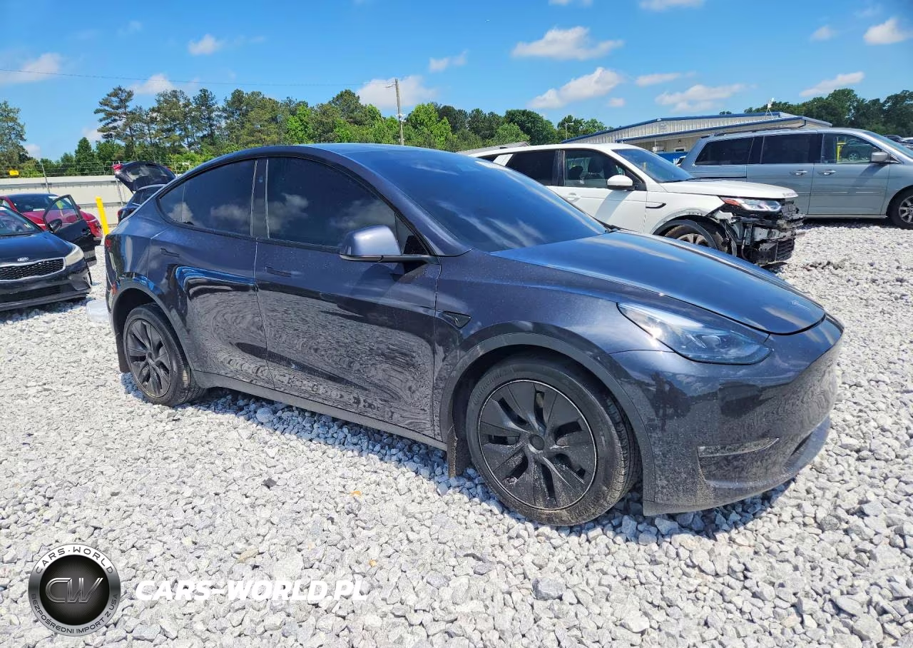 2025 Tesla Model Y VIN:7SAYGDEE0SF298910 - 4