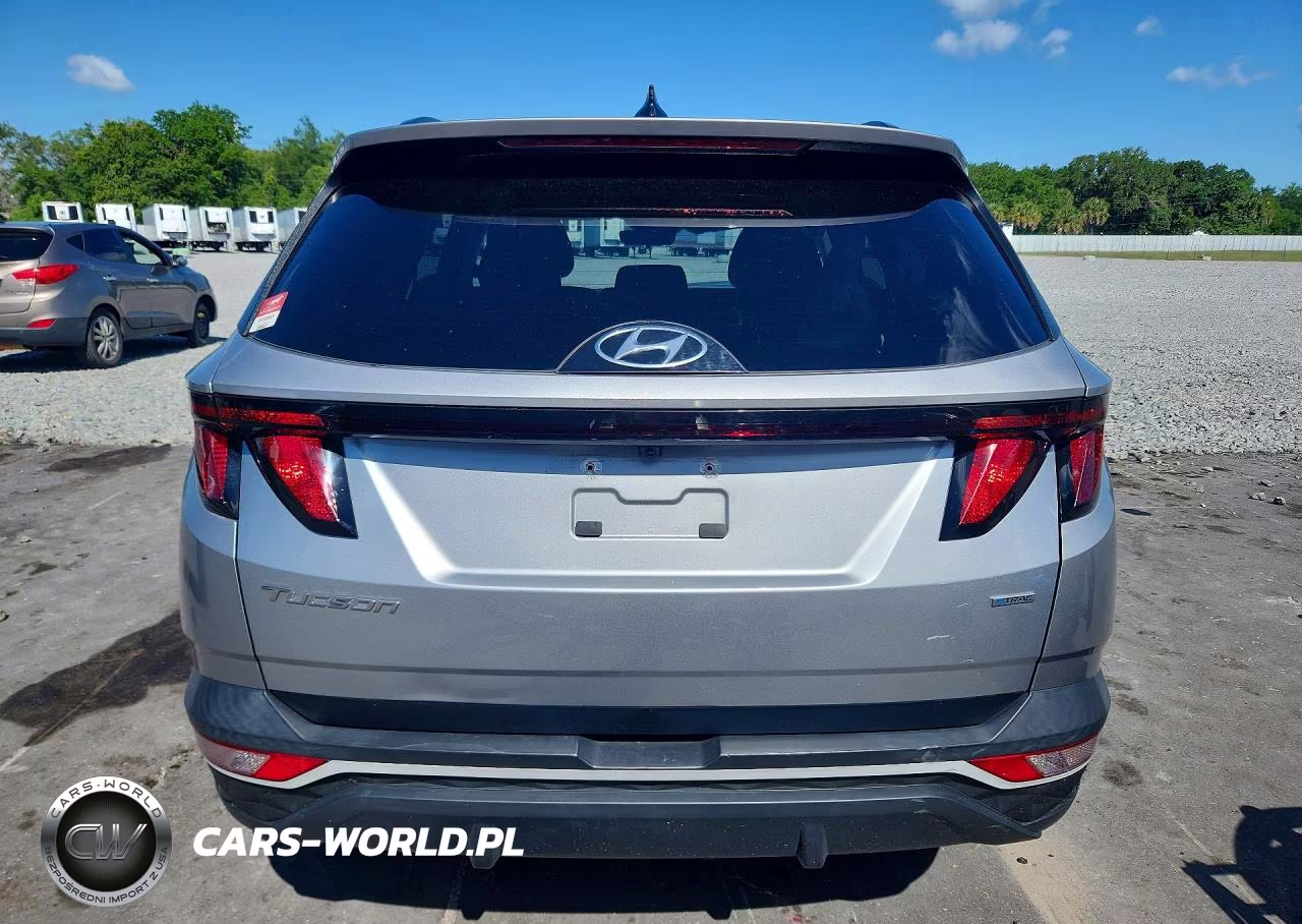 2024 Hyundai Tucson Sel VIN:5NMJBCDE3RH307116 - 6