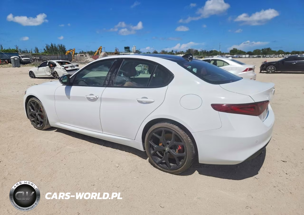 2019 Alfa Romeo Giulia Ti VIN:ZARFAMBNXK7616036 - 2