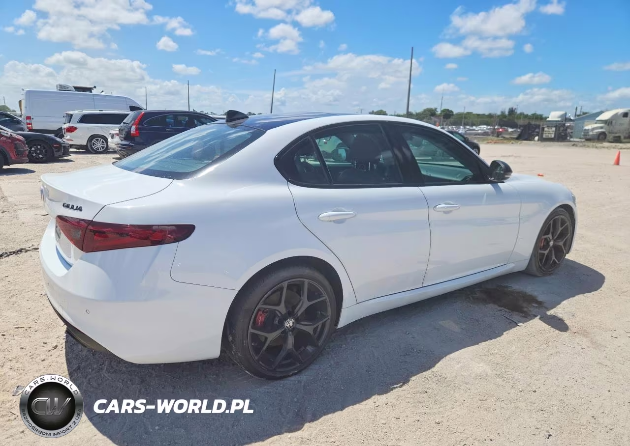 2019 Alfa Romeo Giulia Ti VIN:ZARFAMBNXK7616036 - 3
