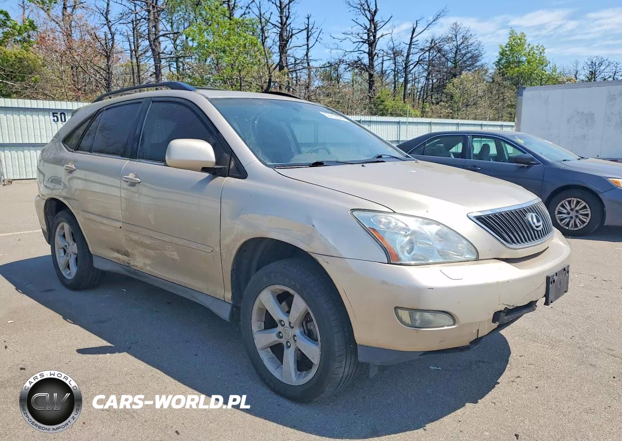 2004 Lexus Rx 330 VIN:2T2HA31U94C023349 - 4