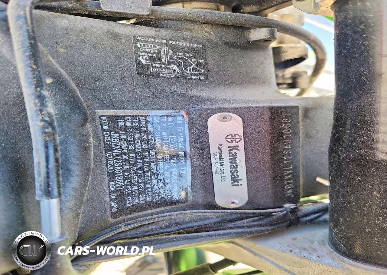 2025 Kawasaki Zx1002 L VIN:JKBZXVL12SA018667 - 9