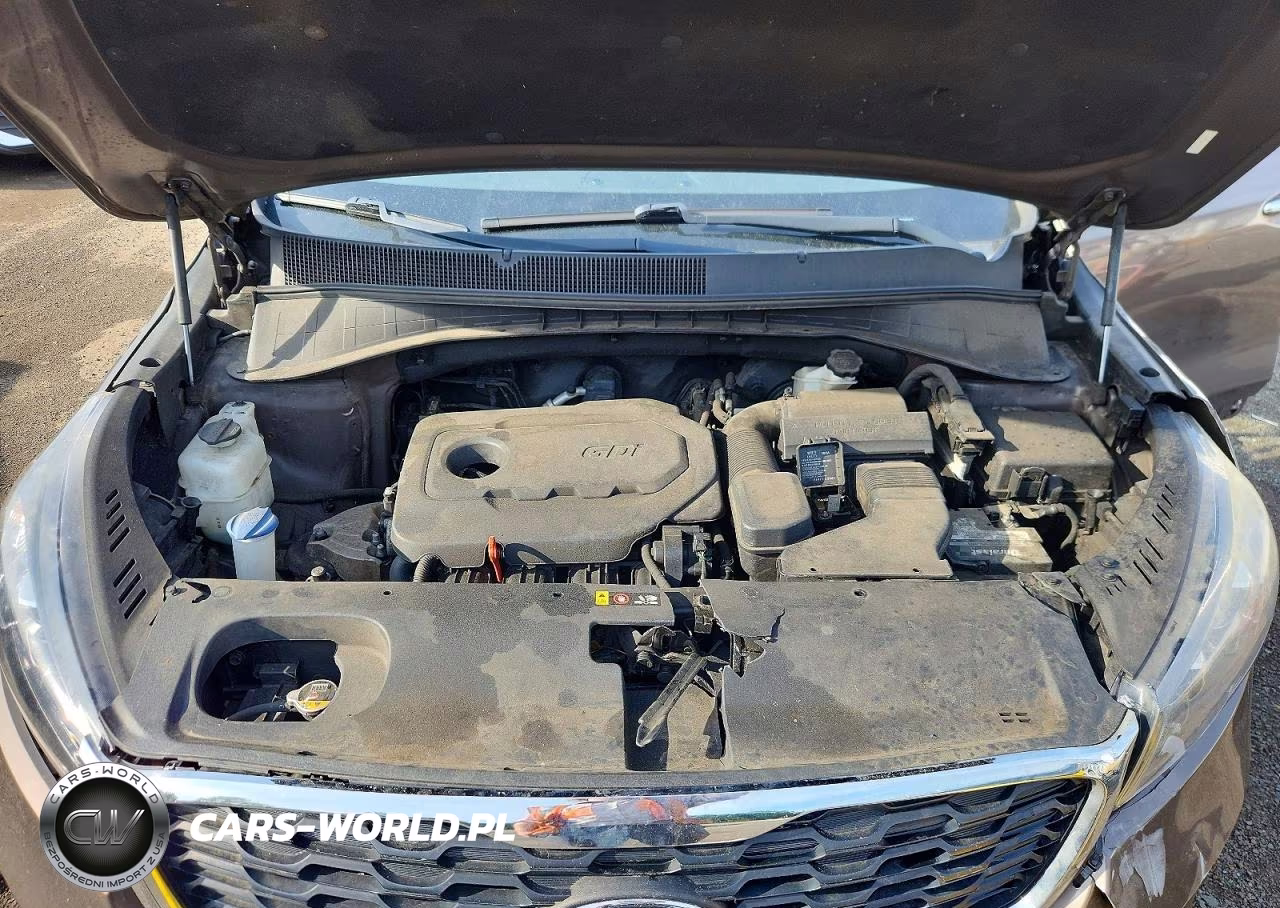 2019 Kia Sorento Lx VIN:5XYPGDA36KG434043 - 12