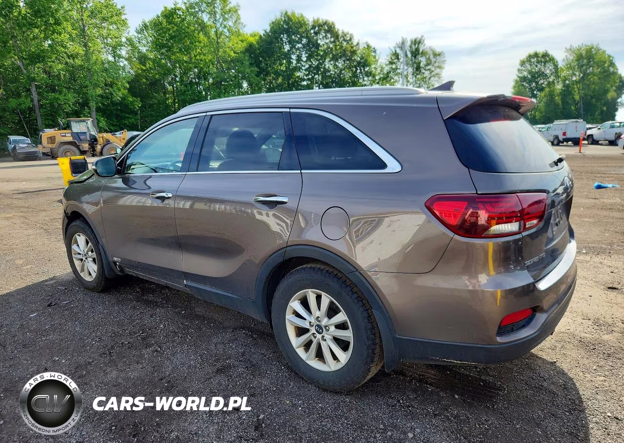 2019 Kia Sorento Lx VIN:5XYPGDA36KG434043 - 2