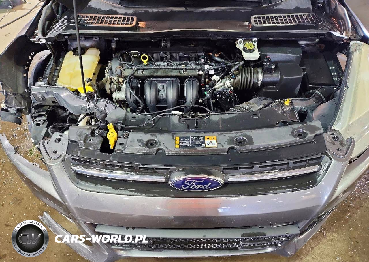 2015 Ford Escape Se VIN:1FMCU0G78FUC16244 - 12