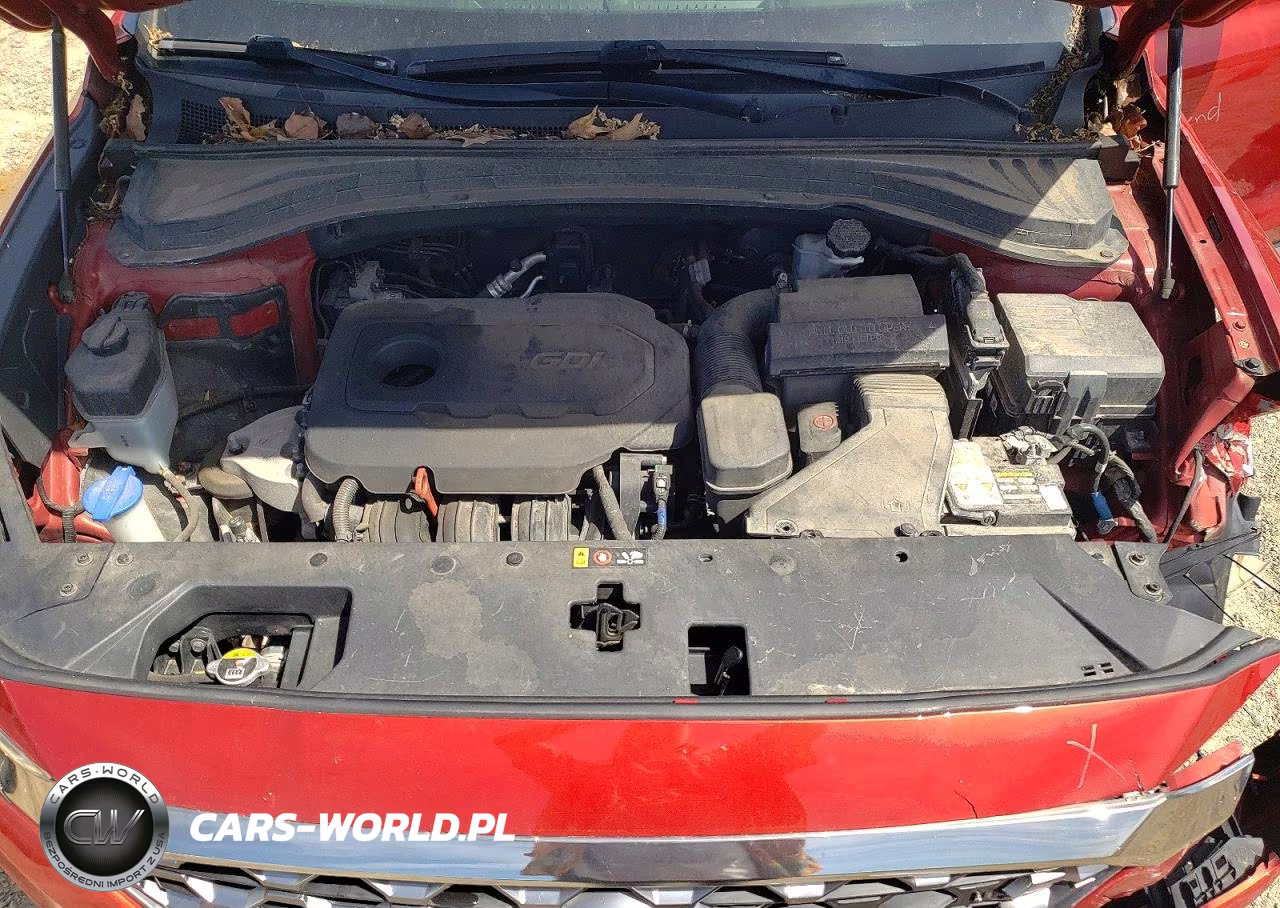 2019 Hyundai Santa Fe Sel Plus 2.4L VIN:5NMS3CAD2KH029151 - 12