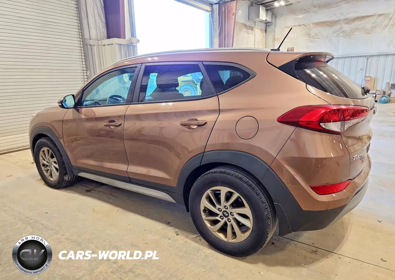 2017 Hyundai Tucson Eco VIN:KM8J33A29HU367556 - 2