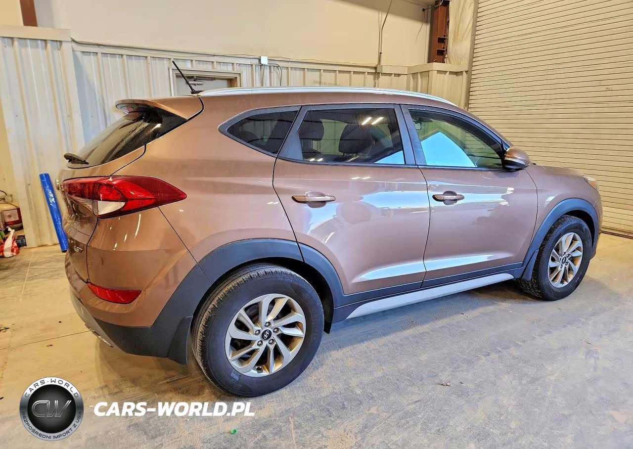 2017 Hyundai Tucson Eco VIN:KM8J33A29HU367556 - 3