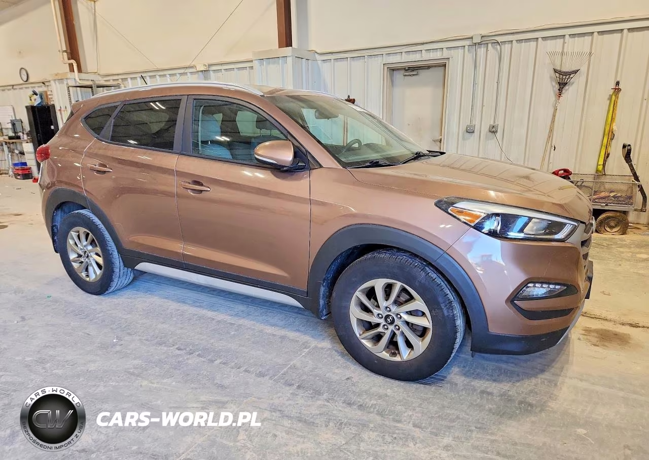 2017 Hyundai Tucson Eco VIN:KM8J33A29HU367556 - 4