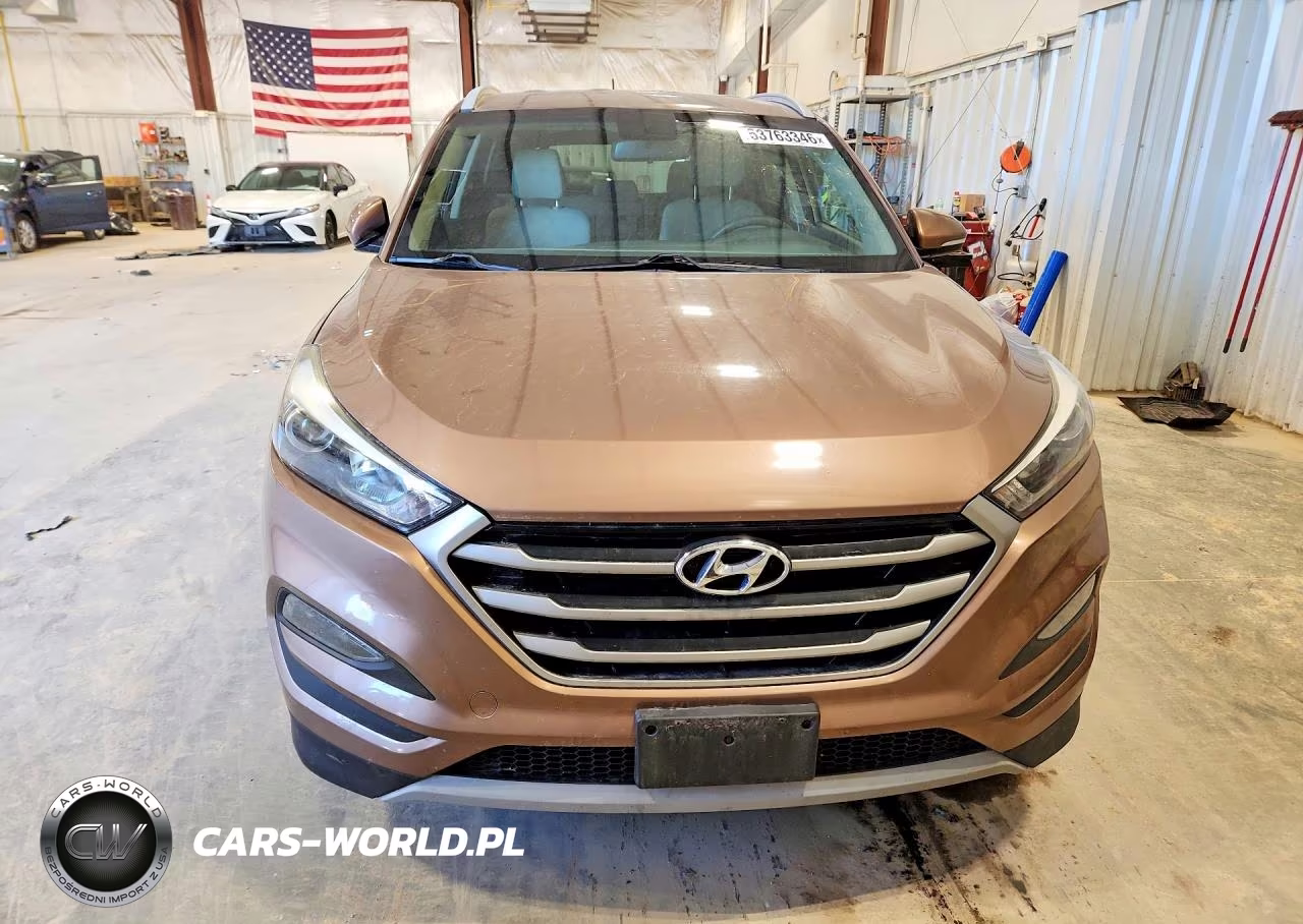 2017 Hyundai Tucson Eco VIN:KM8J33A29HU367556 - 5