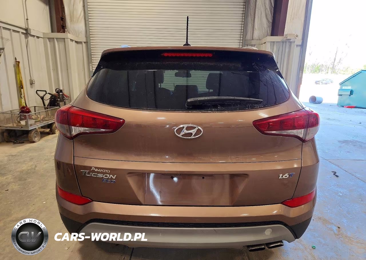 2017 Hyundai Tucson Eco VIN:KM8J33A29HU367556 - 6