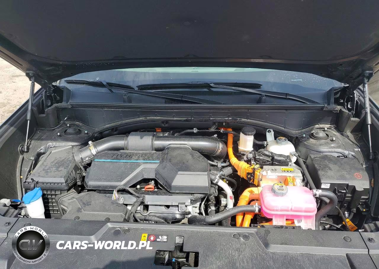 2025 Hyundai Santa Fe Calligraphy VIN:5NMP5DG1XSH068900 - 12