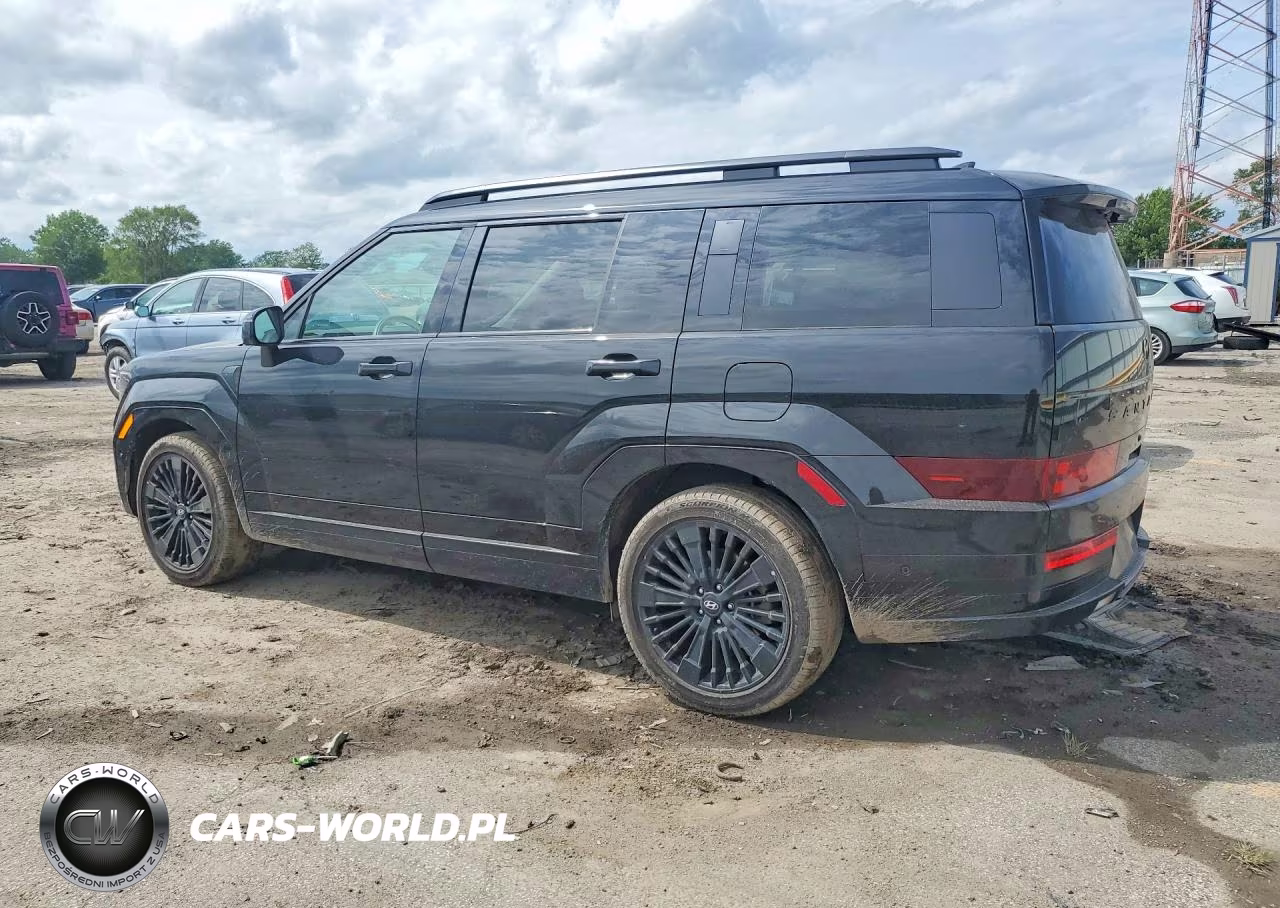 2025 Hyundai Santa Fe Calligraphy VIN:5NMP5DG1XSH068900 - 2