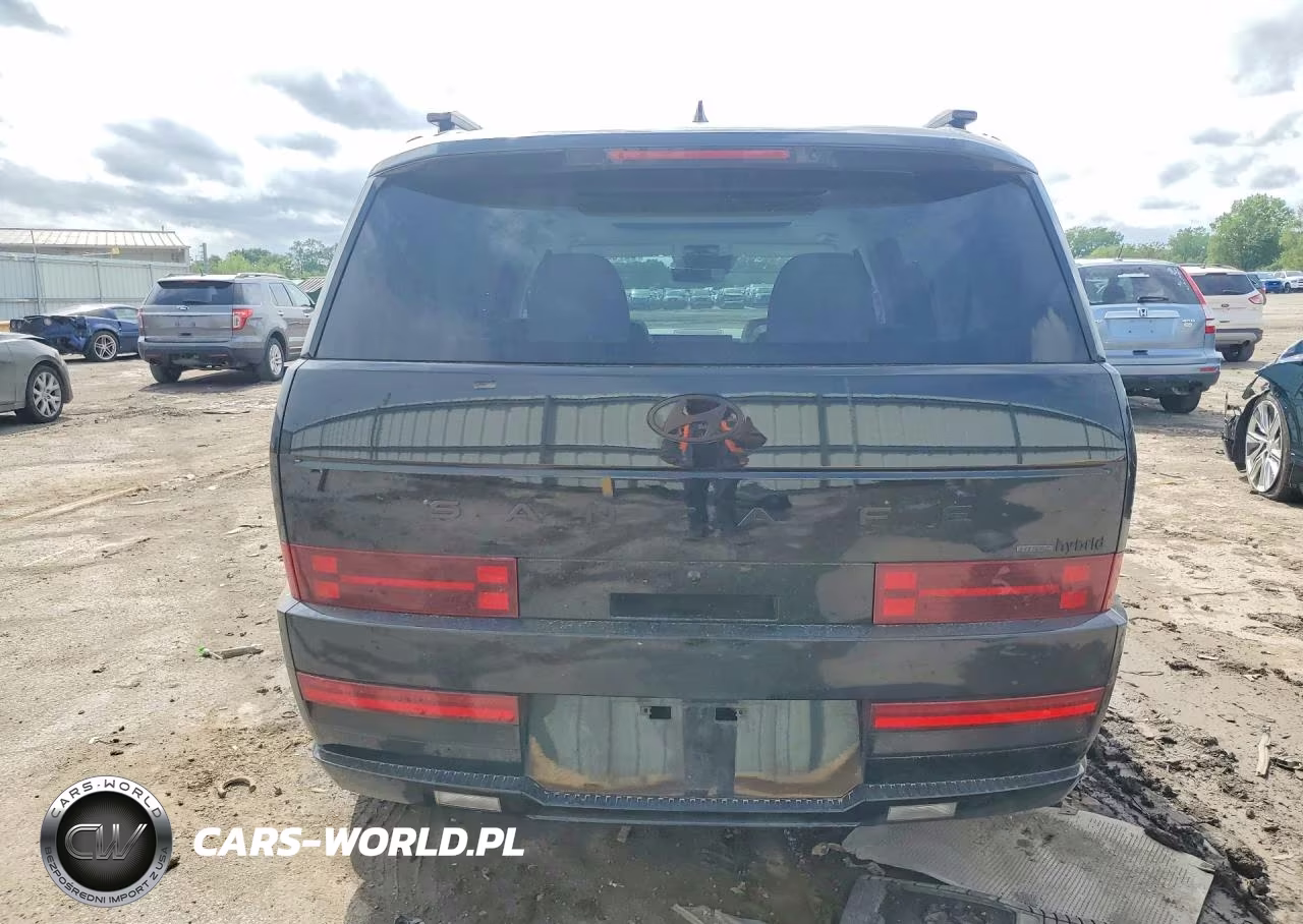 2025 Hyundai Santa Fe Calligraphy VIN:5NMP5DG1XSH068900 - 6