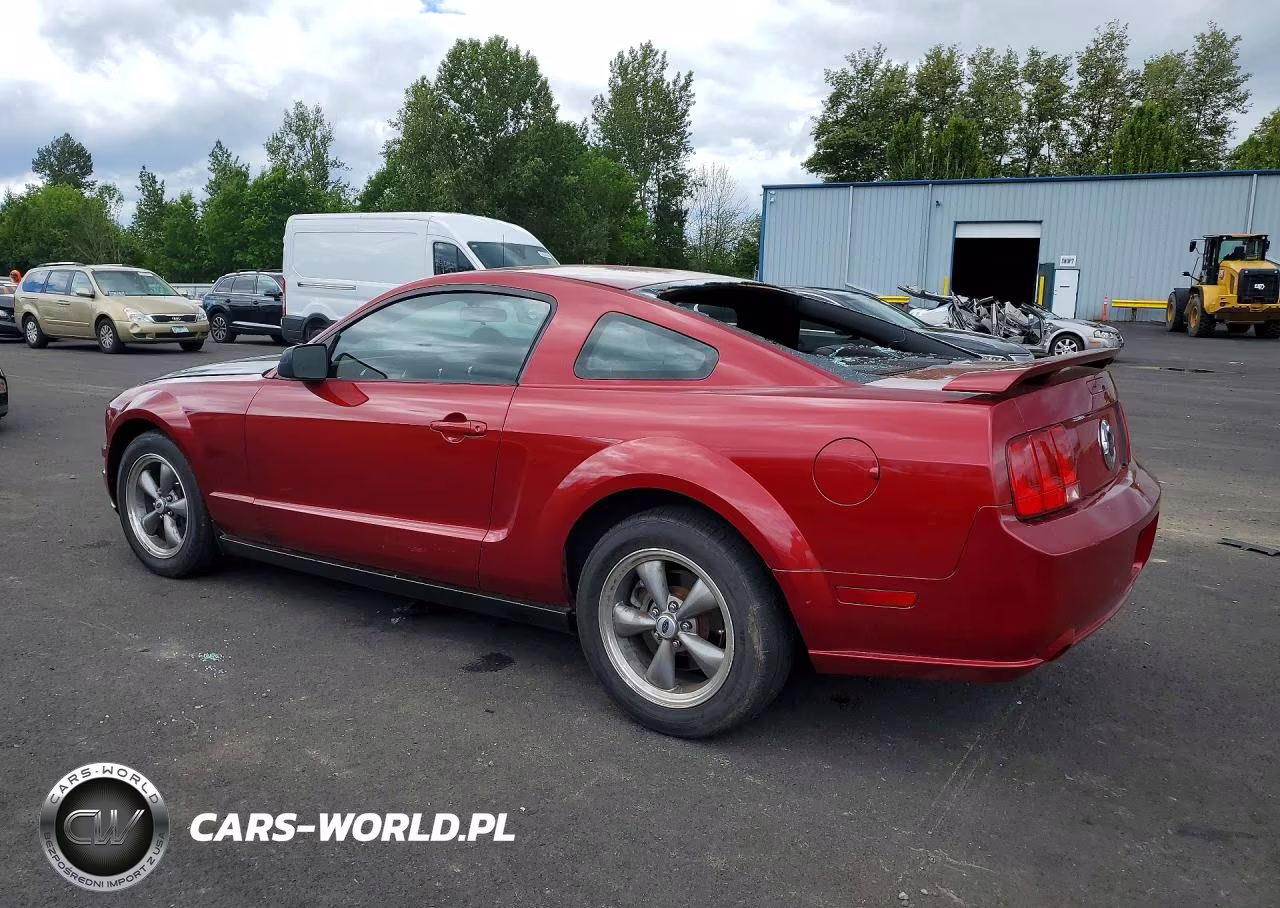 2005 Ford Mustang Gt VIN:1ZVFT82HX55241235 - 2