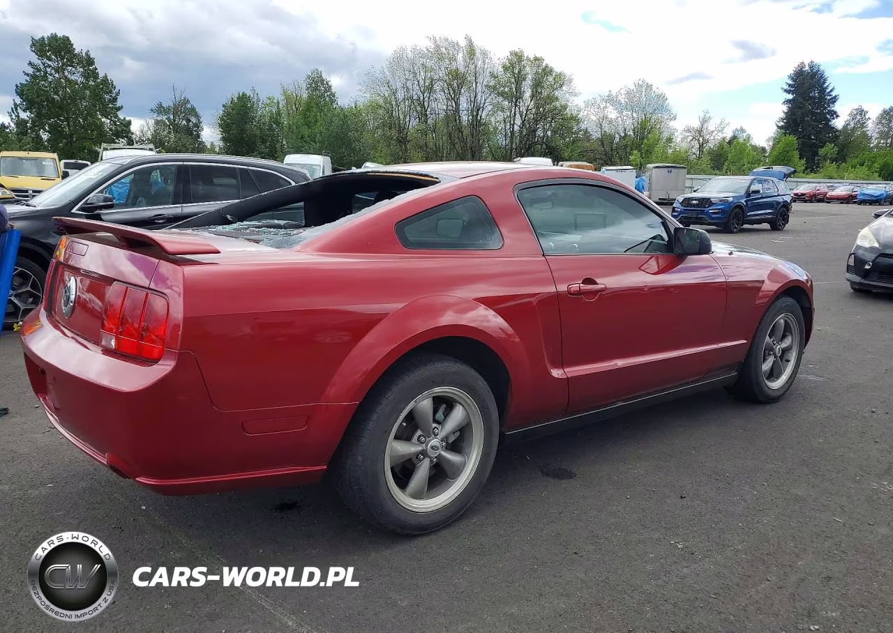 2005 Ford Mustang Gt VIN:1ZVFT82HX55241235 - 3