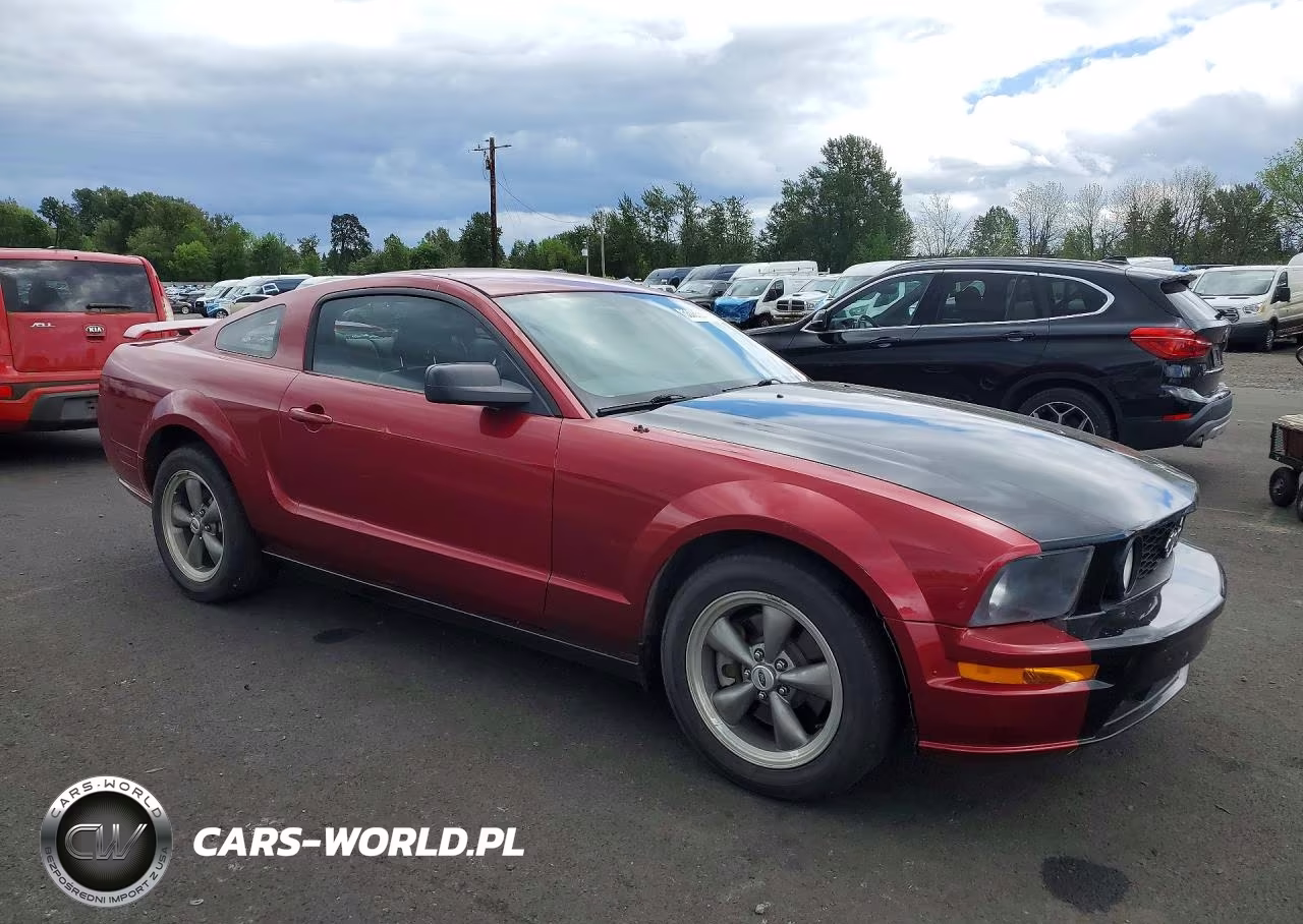 2005 Ford Mustang Gt VIN:1ZVFT82HX55241235 - 4