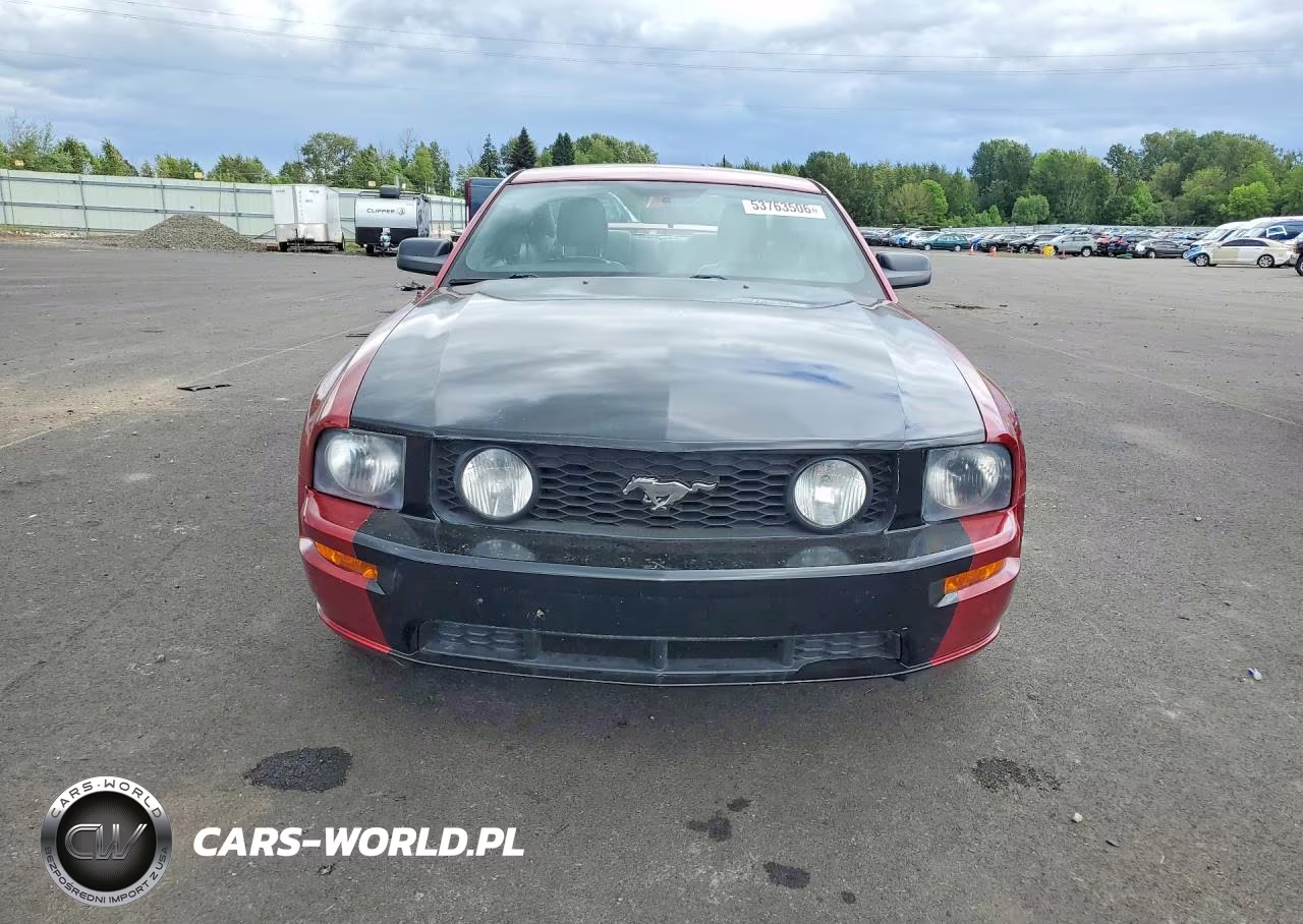 2005 Ford Mustang Gt VIN:1ZVFT82HX55241235 - 5