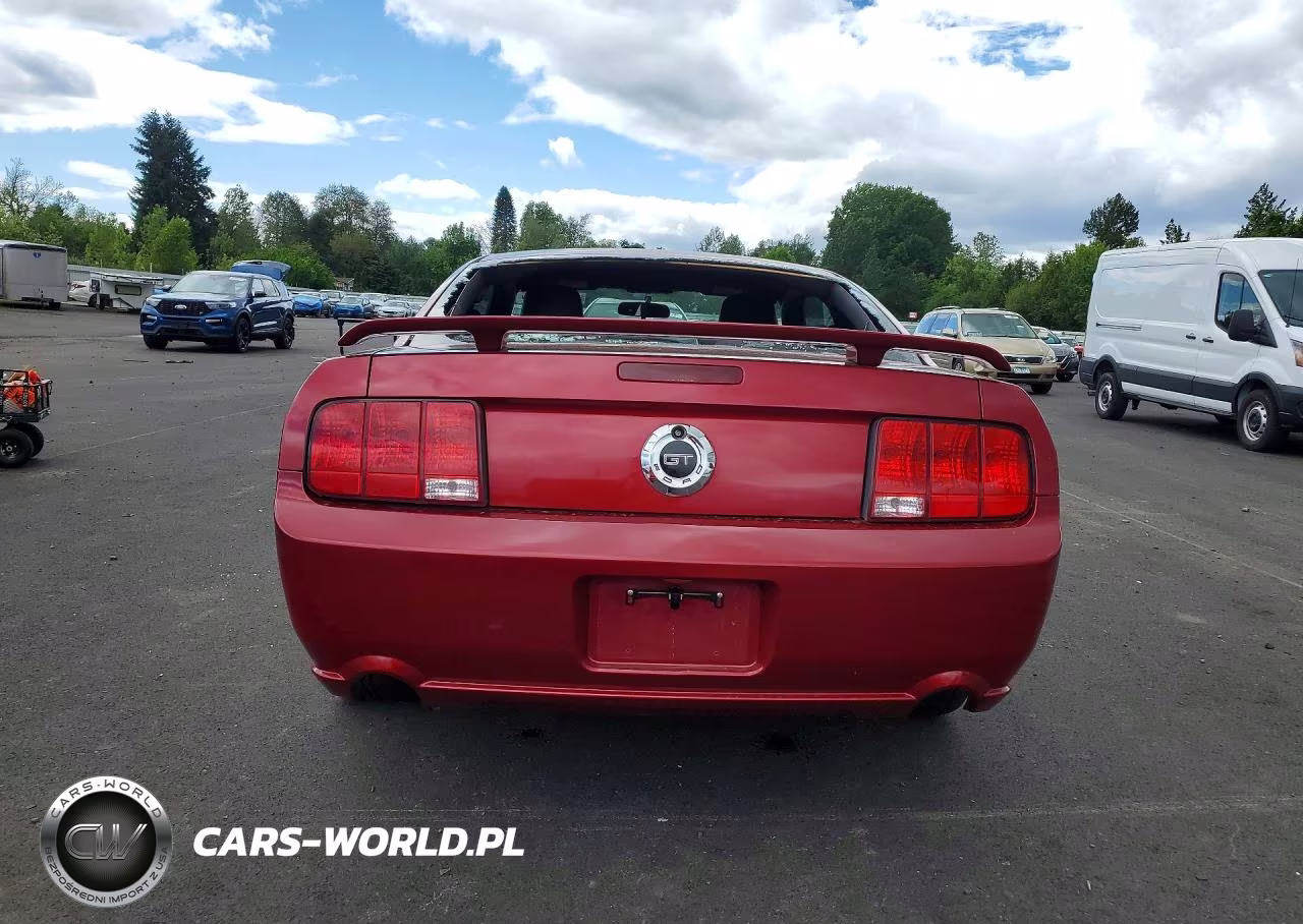 2005 Ford Mustang Gt VIN:1ZVFT82HX55241235 - 6