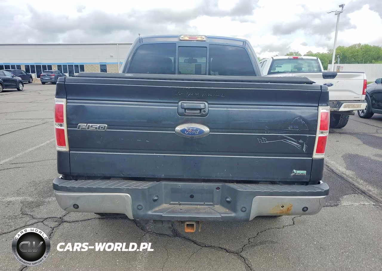 2010 Ford F150 Supercrew VIN:1FTFW1EV9AFB27721 - 6