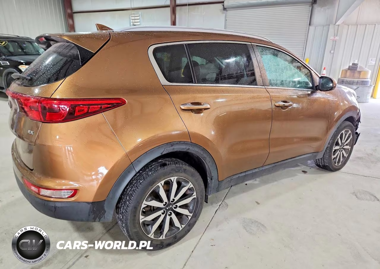 2017 Kia Sportage Ex VIN:KNDPN3AC0H7150137 - 3