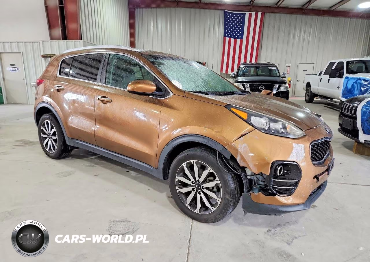 2017 Kia Sportage Ex VIN:KNDPN3AC0H7150137 - 4