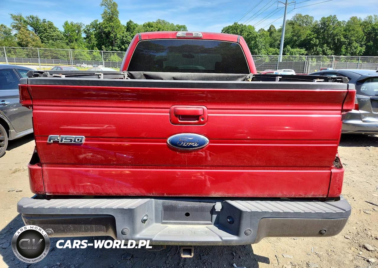 2009 Ford F150 Supercrew VIN:1FTPW14V49FA44909 - 6