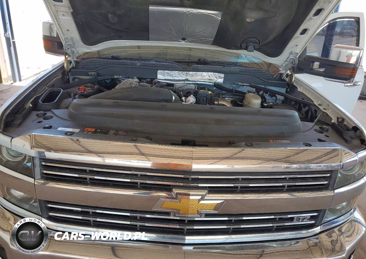2017 Chevrolet Silverado K2500 Heavy Duty Ltz VIN:1GC1KWEY8HF174245 - 11