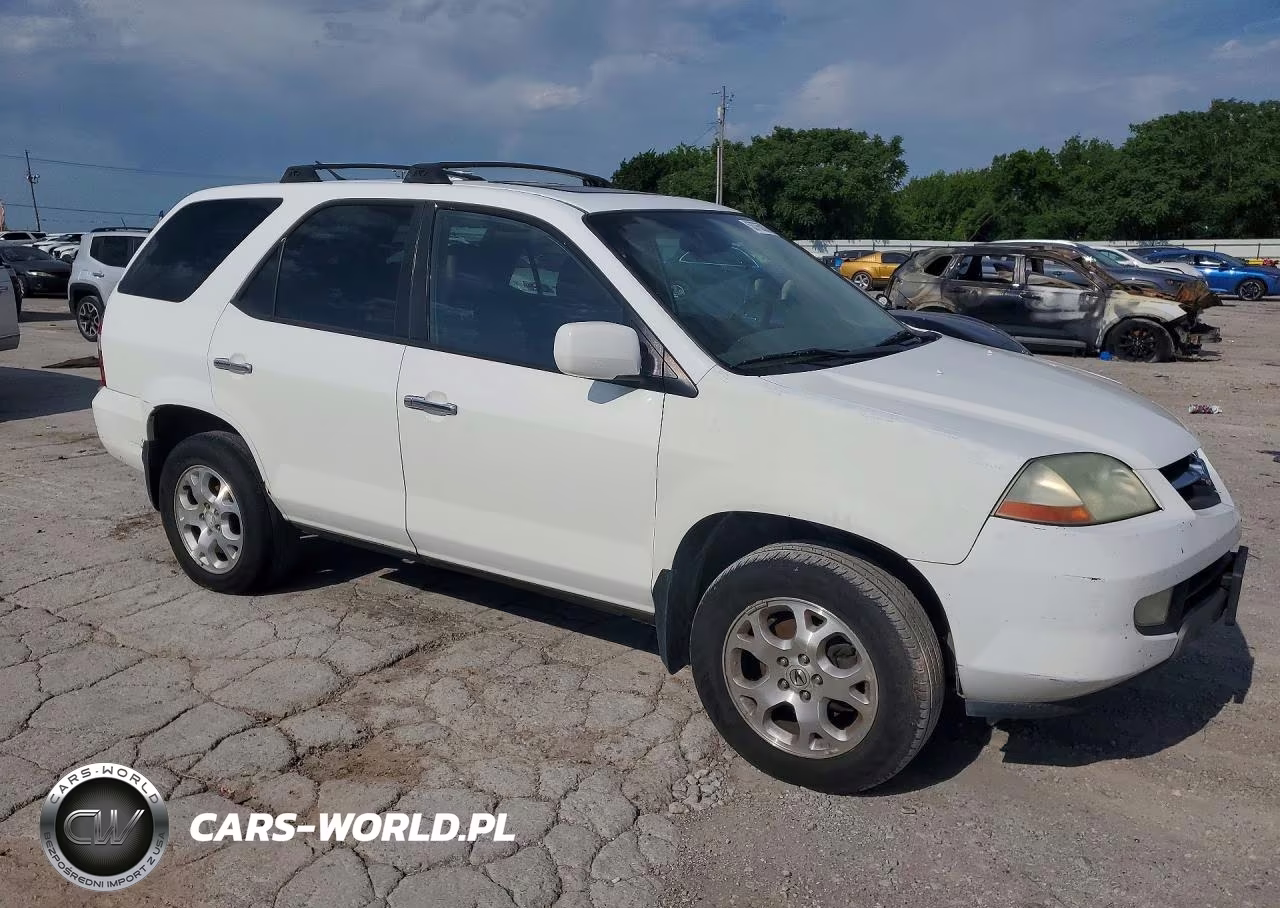 2002 Acura Mdx Touring VIN:2HNYD18692H504979 - 4