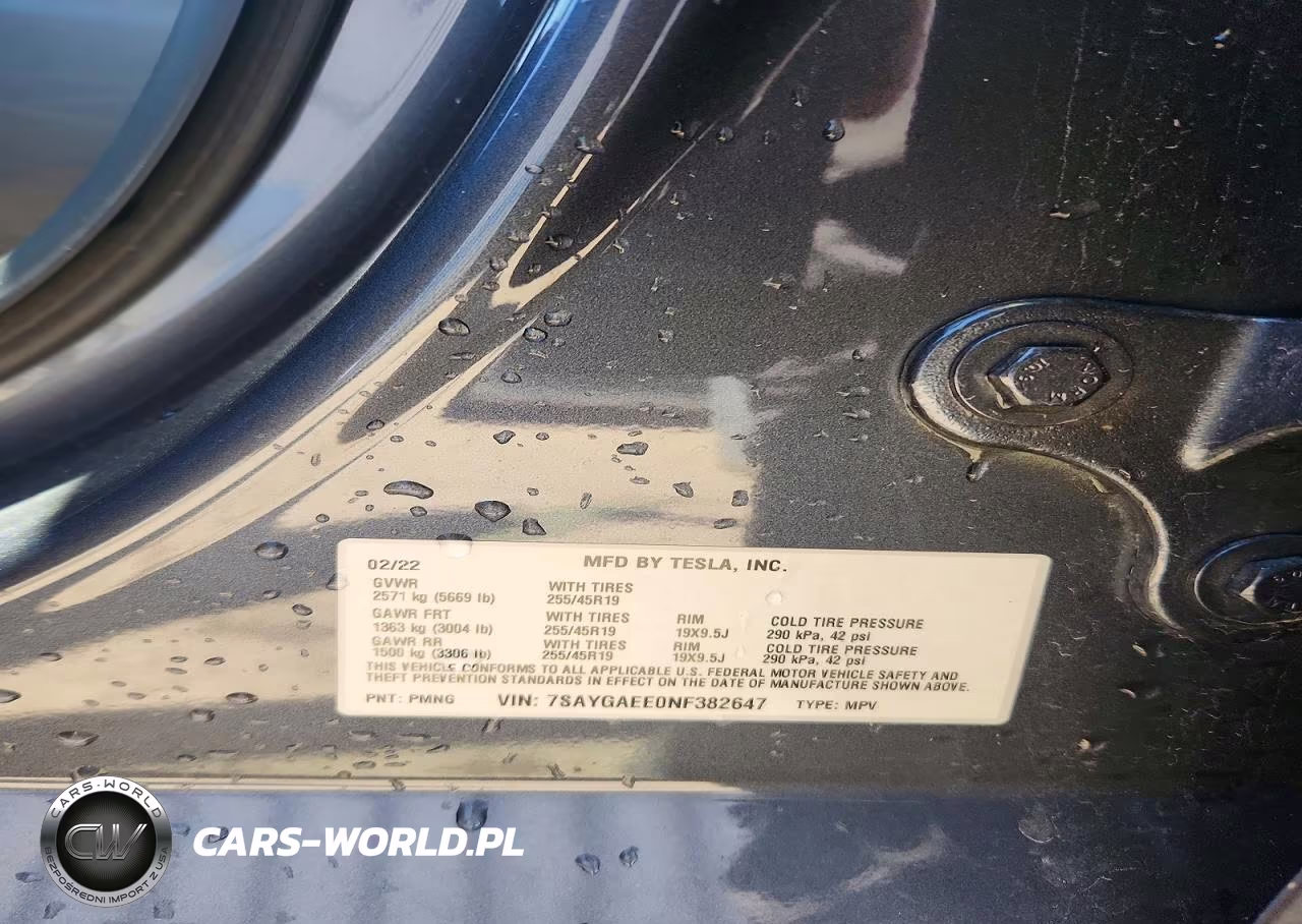 2022 Tesla Model Y VIN:7SAYGAEE0NF382647 - 12