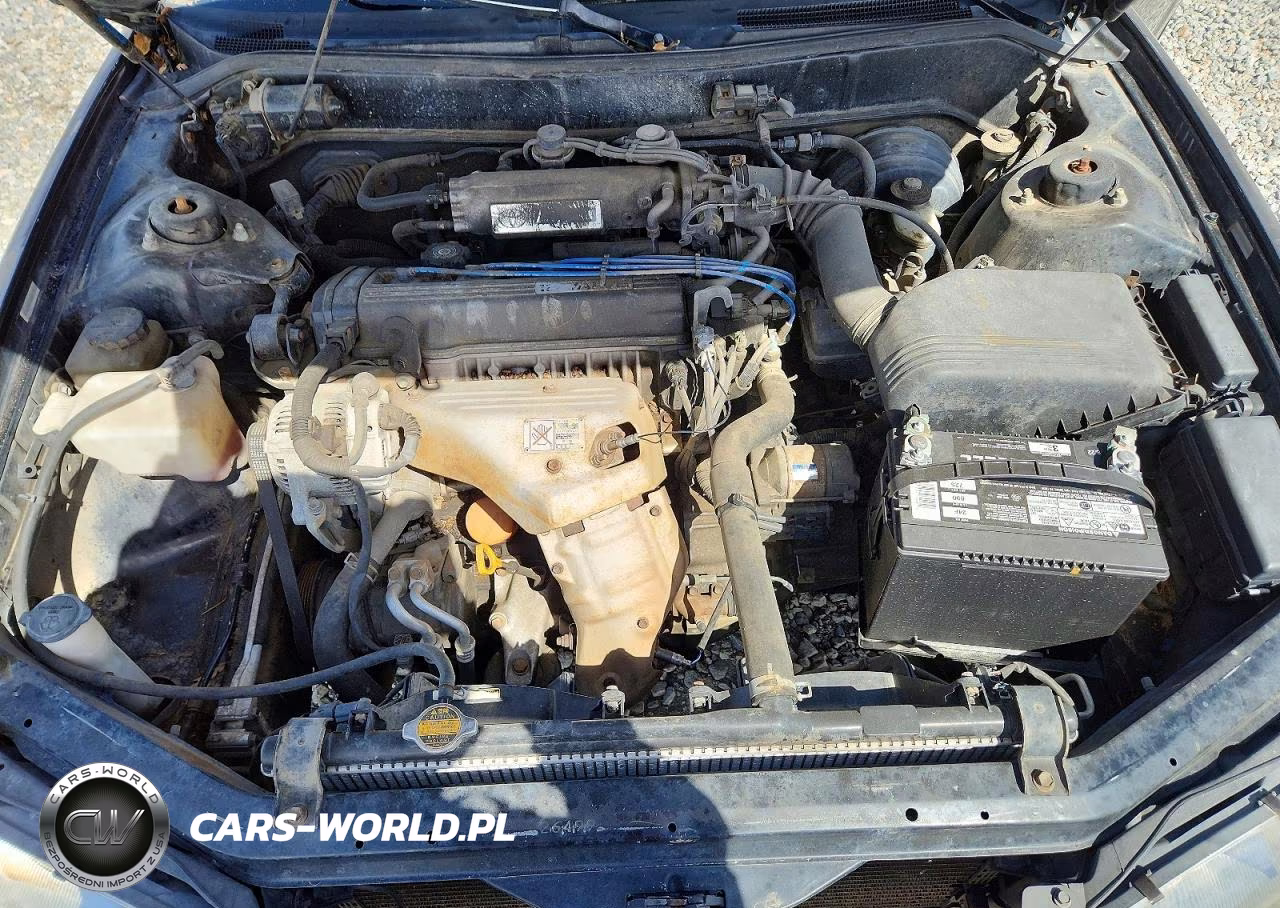 1994 Toyota Camry Dx VIN:4T1SK11C2RU354038 - 11