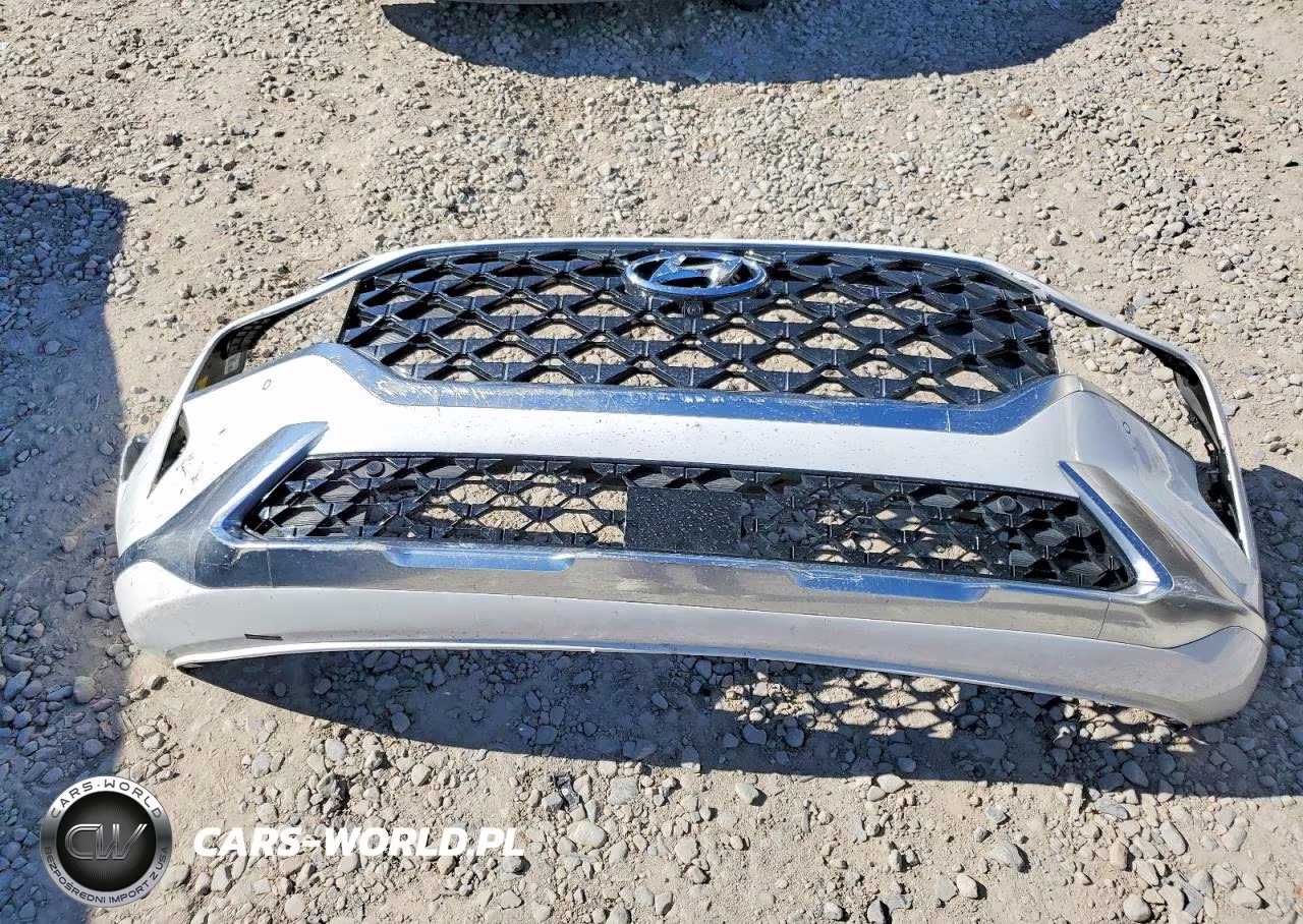 2023 Hyundai Santa Fe Calligraphy VIN:5NMS5DAL2PH609966 - 12