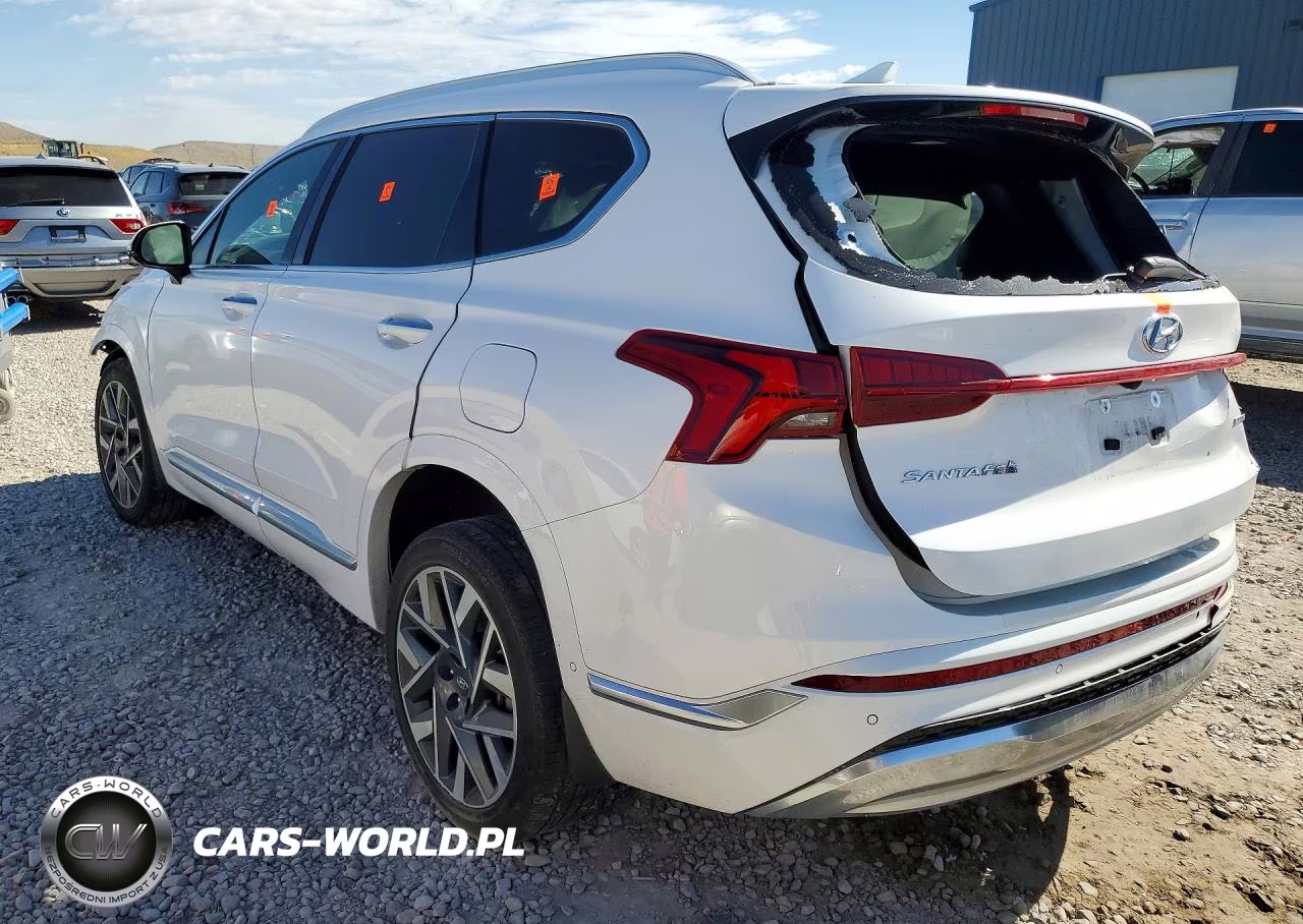 2023 Hyundai Santa Fe Calligraphy VIN:5NMS5DAL2PH609966 - 2