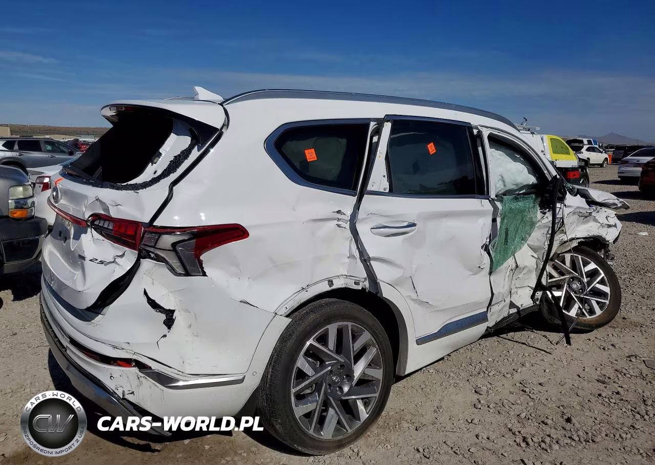2023 Hyundai Santa Fe Calligraphy VIN:5NMS5DAL2PH609966 - 3